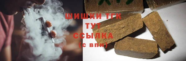 прущий лед Дмитриев
