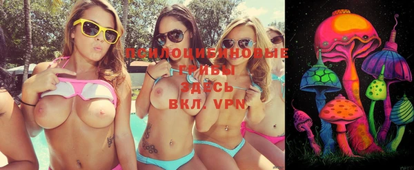 прущий лед Дмитриев