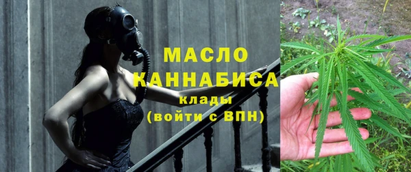 прущий лед Дмитриев