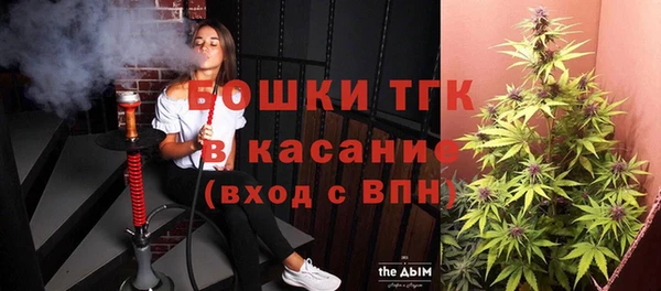 прущий лед Дмитриев