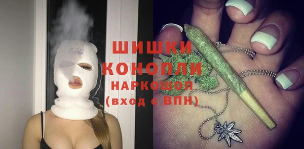 прущий лед Дмитриев