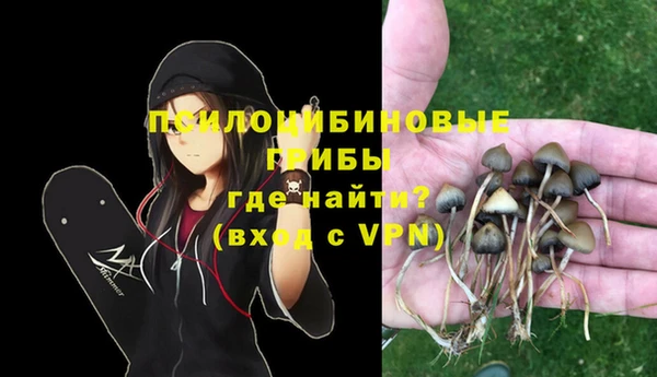 мдма Дмитровск